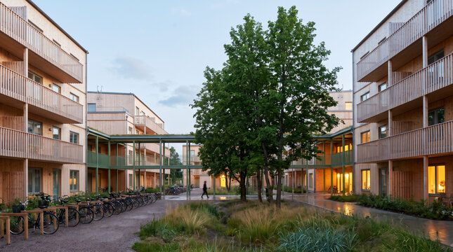 Timber apartment courtyard with shared trees and bicycles promoting low carbon community living
