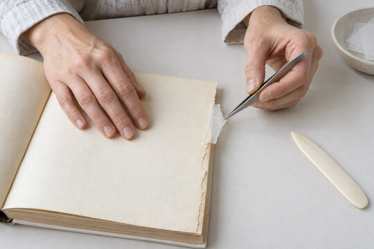 Book Endpaper Repair