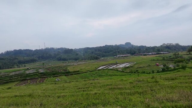 Drone shot of peaceful countryside road and paddy fields in Java