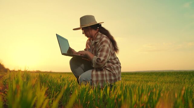 Female farmer with laptop tends green crop shoots in field, assessing future harvest. Woman farmer works computer in green field. Agronomist works in rural setting. Agricultural business. countryside