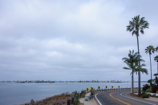 Curving coastal road lined with palm trees overlooking a calm Mission Bay under a cloudy morning sky, San Diego, CA