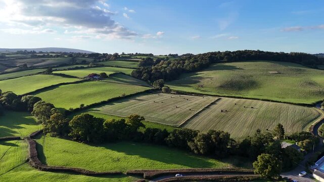 Sunlit Farmland and Country Road Aerial