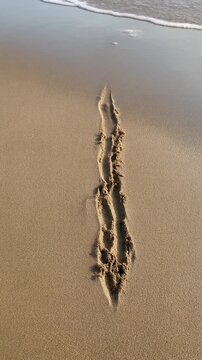 泡の縁が砂に細かい線を残す シームレスループ動画背景 9:16 4K