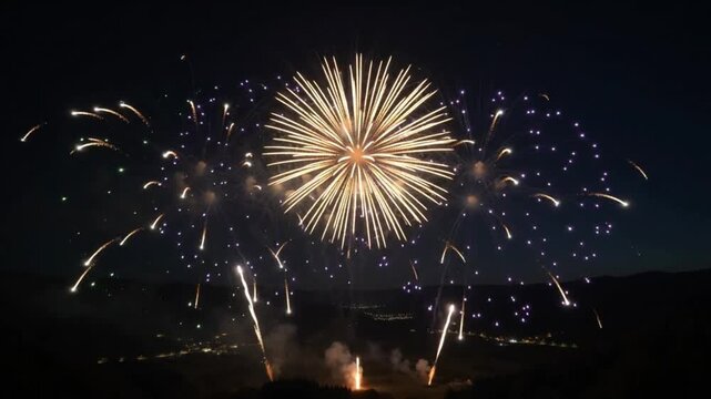 Fireworks display exploding in colorful patterns across the night sky