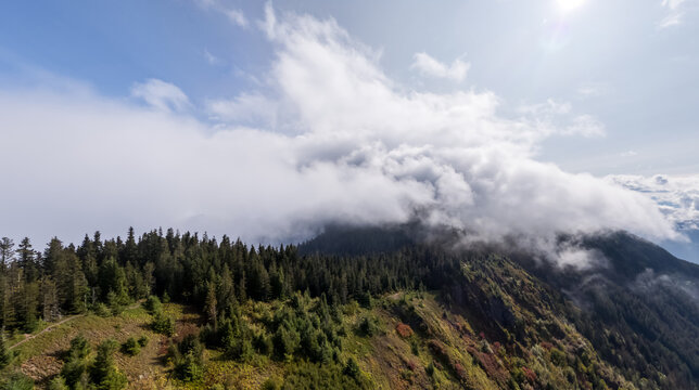 Misty Mountain Forest With Low Clouds and Sunlight Over Chilliwack, BC, Canada Panorama