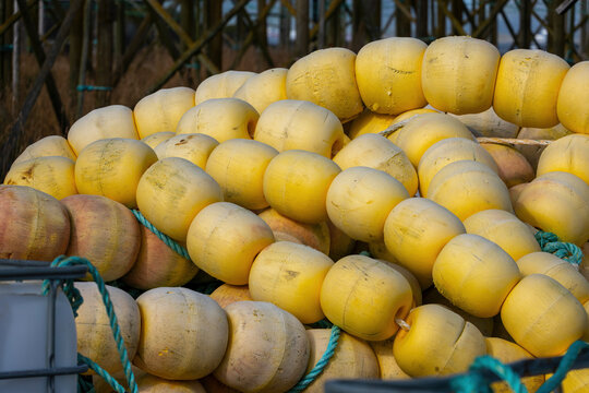 Title:
Yellow fishing net floats stacked at a harbor
