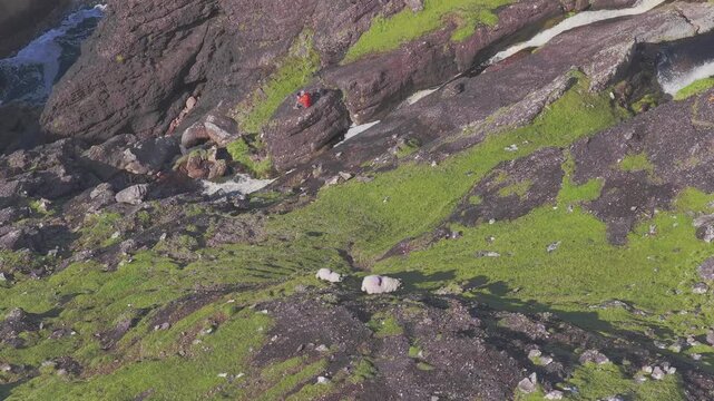 Aerial View of a Stream Cascading Through a Wild Coastal Gorge