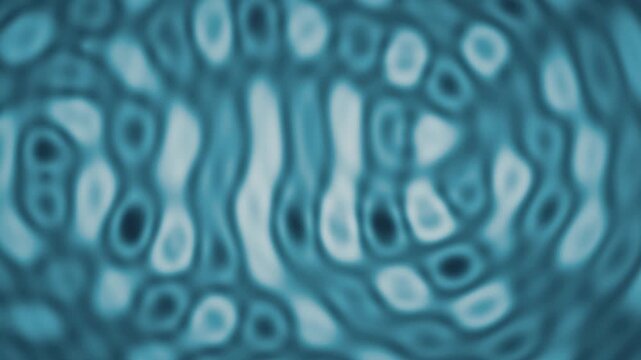 Abstract wave interference moire fringe ripple background seamless loop in subtle cyan tones