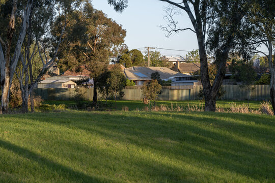 Warm sunlight casts shadows across a grassy park, framed by mature native eucalyptus trees, with suburban houses and a timber boundary fence in the background. Laverton, Melbourne, Australia