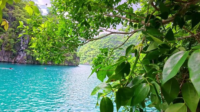 boat snorkeling tour to Twin Lagoon and Kayangan Lake in Philippines. tourism destination for snorkeling and scuba diving in Coron, Palawan. 