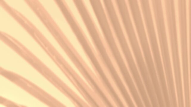 minimalist tropical background with blurred silhouette shadow from palm leaf on colored wall, warm atmosphere, Minimal placement background, Creative product platform stage mockup, presentation
