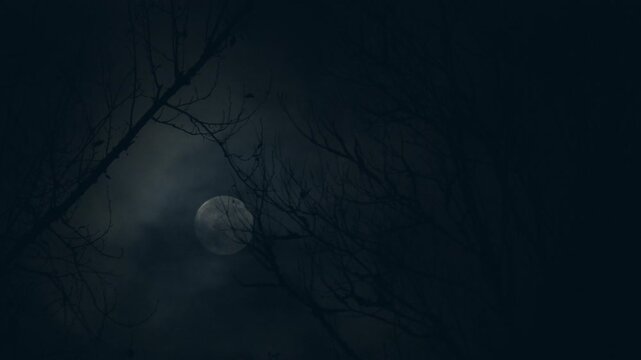 Fast moving clouds and rising full moon create an eerie establishing shot with wicked winter trees in the foreground.