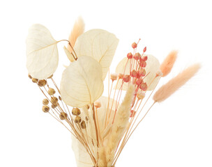 Fototapeta premium Beautiful bouquet of dried plants isolated on white