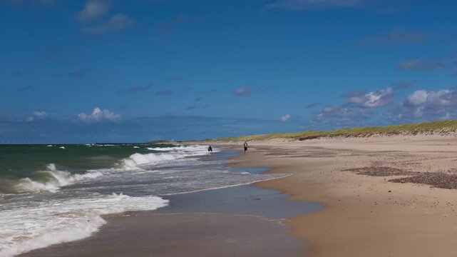 Wide slow tilt up over North Sea surf beach with walkers, marram dunes, harbour breakwater and offshore wind farm in bright sunlight, Scandinavia, Denmark