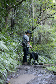 A full-body shot from behind of an owner enjoying a hike with their large dog&mdash;face not shown&mdash;an outdoor leisure image set in a forest, featuring hiking and trekking
