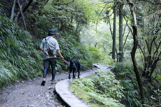 愛犬の大型犬と登山を楽しむ飼い主の全身後ろ姿の顔無し、森林の中アウトドアやトレッキングのレジャーイメージ