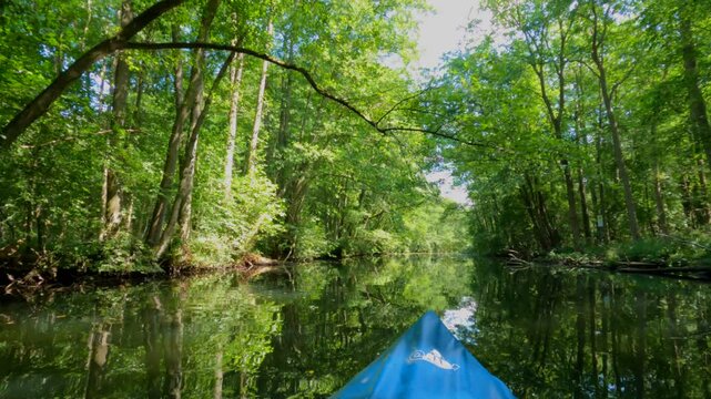 Canoe trip through the Alte Fahrt canal between Bolter Lock and Caarpsee, forest, trees, M&uuml;ritz National Park, Mecklenburg Lake District, Mecklenburg-Western Pomerania, Germany
