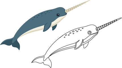 Narwhal swimming blue white tusk dual version colored outline vector illustration isolated marine mammal whale arctic ocean animal sea unicorn horn © MD MUSLIM UDDIN