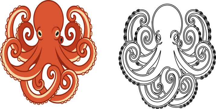 Octopus curling tentacles orange red dual version colored black outline vector illustration isolated marine animal sea ocean cephalopod mollusk wildlife underwater
