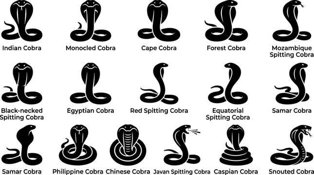 Black cobra snake species collection silhouette icons Indian monocled cape forest mozambique egyptian spitting set editable vector illustration art pattern