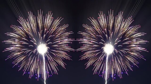 Two white and pink fireworks bursting side by side, romantic seamless vj loop for weddings and anniversaries