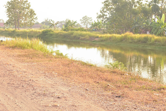 Quiet river flowing along a dirt road surrounded by green trees in rural countryside