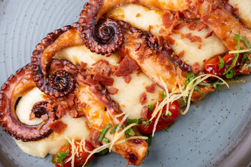 Close-up of a gourmet dish featuring three tentacles of cooked octopus served with a creamy potato and vegetable purée. © mario