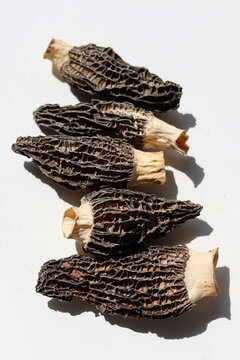 Dried morel mushrooms on white background.