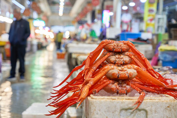 Freshly steamed red snow crabs stacked on ice at Sokcho Tourist Fishery Market in South Korea with blurred market arcade background. © 진영김