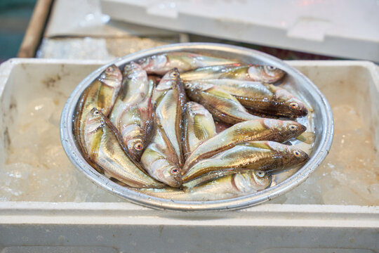 Fresh winter sandfish (dorumuk) arranged neatly on a round metal tray over ice at a Korean seafood market.