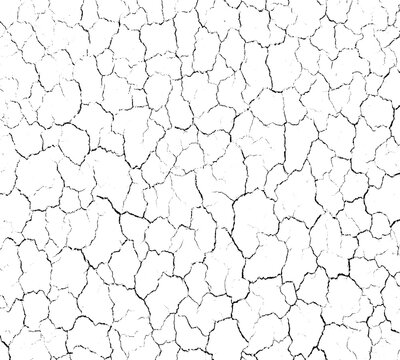 Abstract texture of cracked dry earth surface, black and white grunge pattern for design isolated on transparent background