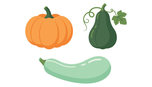 Collection of different autumn squash types including orange pumpkin and green zucchini isolated on white background