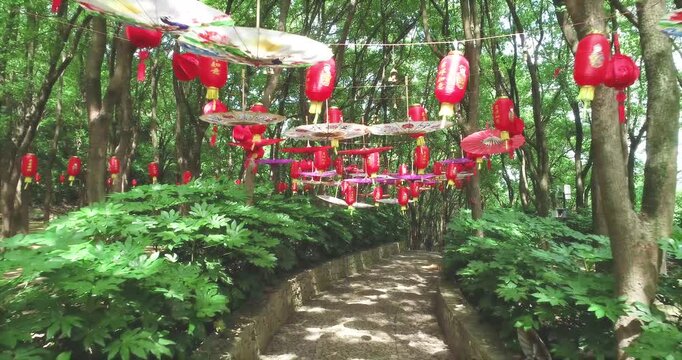 Traditional Chinese Garden Walkway with Red Lanterns and Hanging Umbrellas in a Lush Forest Setting