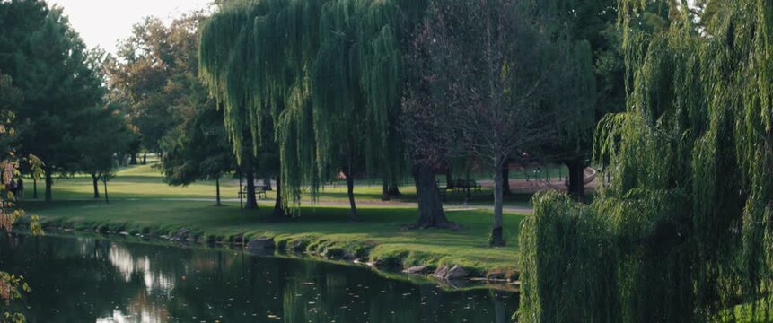 A tranquil video capturing outdoor lifestyle and recreation at Baker Park in Frederick, Maryland. Out-of-focus, unrecognizable locals enjoy a sunny day by the calm waters of Carroll Creek, featuring r