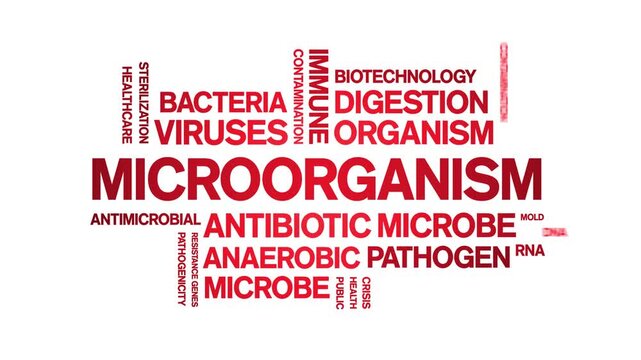 Microorganism animated word cloud-text design animation tag kinetic typography seamless loop.