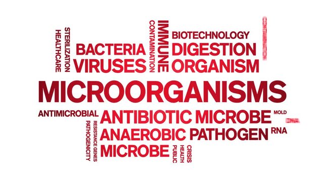 Microorganisms animated word cloud-text design animation tag kinetic typography seamless loop.
