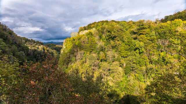 View of the canyon of Khosta river in Khosta Yew-Boxwood Grove. Sochi. Khosta District, Russia Autumn in the mountains