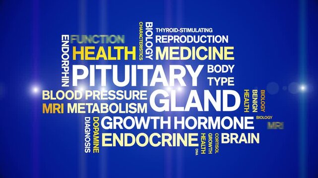 Pituitary Gland animated word cloud-animation tag kinetic typography seamless loop.