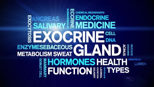 Exocrine Gland animated word cloud-animation tag kinetic typography seamless loop.