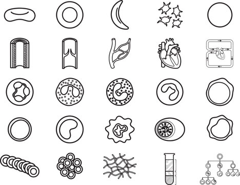 Blood cell illustration set, depicting various types of blood cells, human heart, and blood vessels in a clear, organized infographic style.