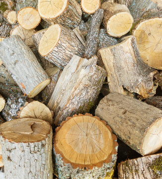 Chopped tree firewood logs stacked showing tree bark.