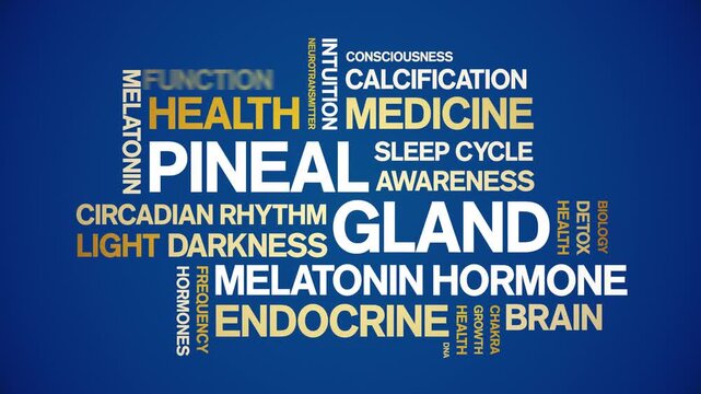 Pineal Gland animated word cloud-animation tag kinetic typography seamless loop.