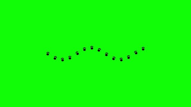 Small Black Insects Flying in a Wavy Path Trail on Green Screen