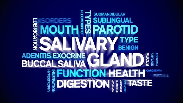 Salivary Gland animated word cloud-animation tag kinetic typography seamless loop.