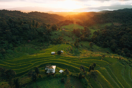 Aerial view of lush green terraced rice fields and small wooden huts in a mountain valley during a golden sunrise