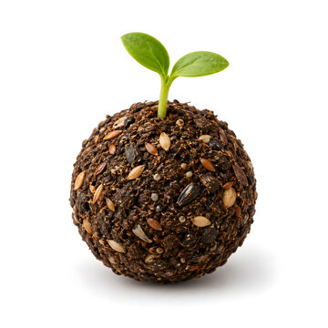 Wildflower Seed Ball 3D Clay Render