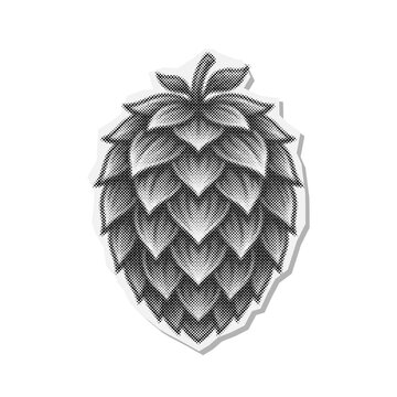 Stylized Halftone Hop Cone Illustration with White Border. Additional Visible Detail Includes Botanical.