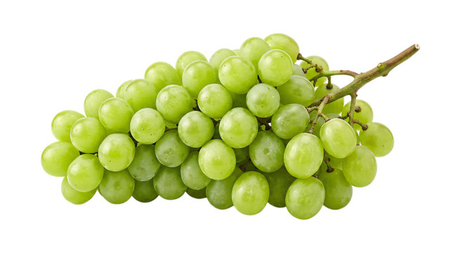 Cluster of fresh green grapes on vine isolated on transparent background