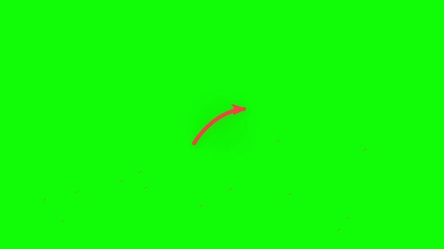Single Flying Insect Hovering and Buzzing on Chroma Key Green Screen