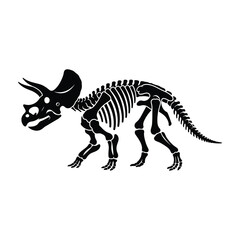 dinosaur skeleton illustration of triceratops fossil bones on white background © Snaplora